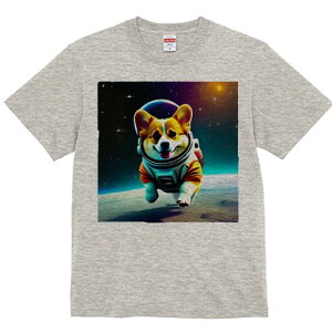 R[M[ TVc fB[X t@  t  vg JWA 킢 lԗp h ̃fUC ʔ F R[M[ F Xy[X