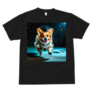 R[M[ TVc fB[X t@  t  vg JWA 킢 lԗp h ̃fUC ʔ F R[M[ F 