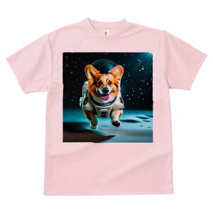 R[M[ TVc fB[X t@  t  vg JWA 킢 lԗp h ̃fUC ʔ F R[M[ F 