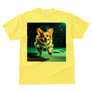 R[M[ TVc fB[X t@  t  vg JWA 킢 lԗp h ̃fUC ʔ F R[M[ F 