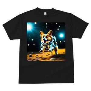 R[M[ TVc fB[X t@  t  vg JWA 킢 lԗp h ̃fUC ʔ F R[M[ F 