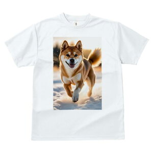 Č TVc fB[X t@  t  vg JWA 킢 lԗp h ̃fUC ʔ  Č ~ z