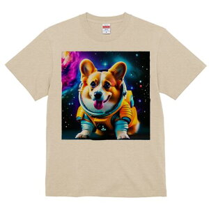 R[M[ TVc fB[X t@  t  vg JWA 킢 lԗp h ̃fUC ʔ F R[M[ F 