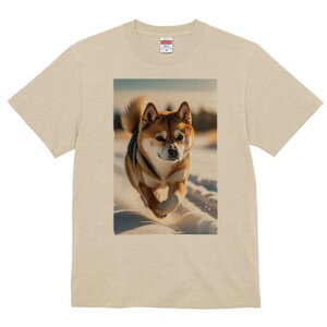 Č TVc fB[X t@  t  vg JWA 킢 lԗp h ̃fUC ʔ  Č ~ AEghA 