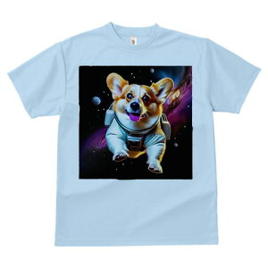 R[M[ TVc fB[X t@  t  vg JWA 킢 lԗp h ̃fUC ʔ F R[M[ Fsm Xy[X