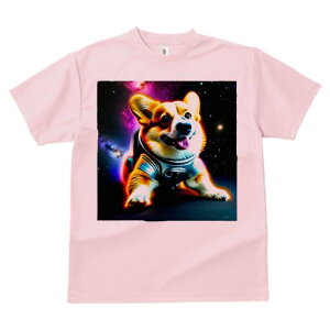 R[M[ TVc fB[X t@  t  vg JWA 킢 lԗp h ̃fUC ʔ F R[M[ Xy[X F