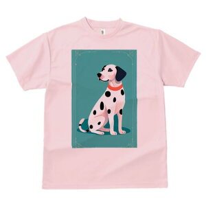 _VA TVc fB[X t@  t  vg JWA 킢 lԗp h ̃fUC ʔ  _VA hbO