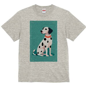 _VA TVc fB[X t@  t  vg JWA 킢 lԗp h ̃fUC ʔ  _VA hbO