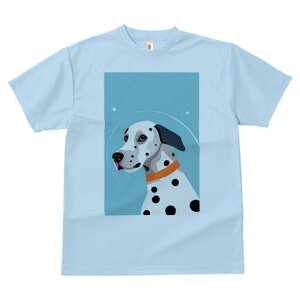 _VA TVc fB[X t@  t  vg JWA 킢 lԗp h ̃fUC ʔ F _VA  hbg