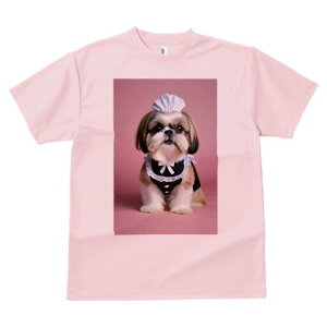 V[Y[ TVc fB[X t@  t  vg JWA 킢 lԗp h ̃fUC ʔ Ch V[Y[ Xq