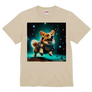 R[M[ TVc fB[X t@  t  vg JWA 킢 lԗp h ̃fUC ʔ F R[M[ F