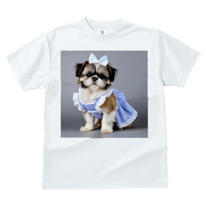 V[Y[ TVc fB[X t@  t  vg JWA 킢 lԗp h ̃fUC ʔ { V[Y[ s[X