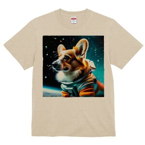 R[M[ TVc fB[X t@  t  vg JWA 킢 lԗp h ̃fUC ʔ F R[M[ F Xy[X