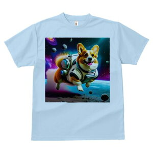 R[M[ TVc fB[X t@  t  vg JWA 킢 lԗp h ̃fUC ʔ F R[M[ F f