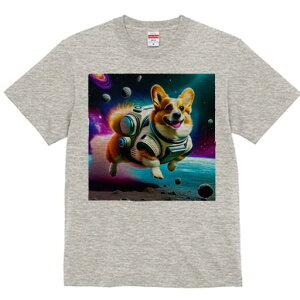 R[M[ TVc fB[X t@  t  vg JWA 킢 lԗp h ̃fUC ʔ F R[M[ F f