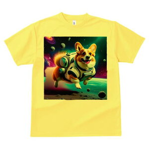 R[M[ TVc fB[X t@  t  vg JWA 킢 lԗp h ̃fUC ʔ F R[M[ F f