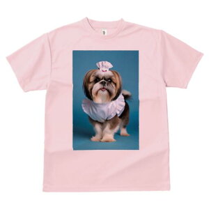 V[Y[ TVc Y LbY t@  t  vg JWA 킢 lԗp h ̃fUC ʔ RbNX V[Y[ Gv