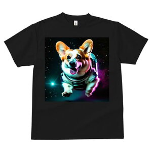 R[M[ TVc fB[X t@  t  vg JWA 킢 lԗp h ̃fUC ʔ F R[M[ F Xy[X