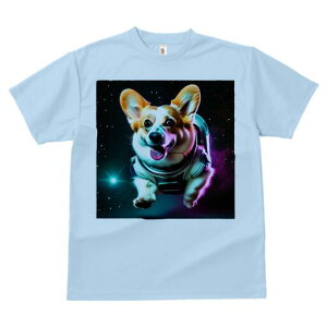 R[M[ TVc fB[X t@  t  vg JWA 킢 lԗp h ̃fUC ʔ F R[M[ F Xy[X