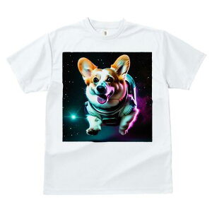 R[M[ TVc fB[X t@  t  vg JWA 킢 lԗp h ̃fUC ʔ F R[M[ F Xy[X