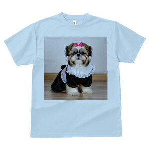 V[Y[ TVc fB[X t@  t  vg JWA 킢 lԗp h ̃fUC ʔ Ch V[Y[ {