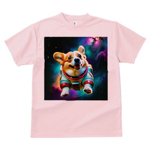 R[M[ TVc fB[X t@  t  vg JWA 킢 lԗp h ̃fUC ʔ F R[M[ Xy[X F