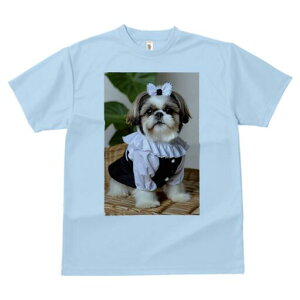 V[Y[ TVc fB[X t@  t  vg JWA 킢 lԗp h ̃fUC ʔ { V[Y[ 