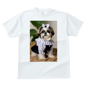 V[Y[ TVc fB[X t@  t  vg JWA 킢 lԗp h ̃fUC ʔ { V[Y[ 