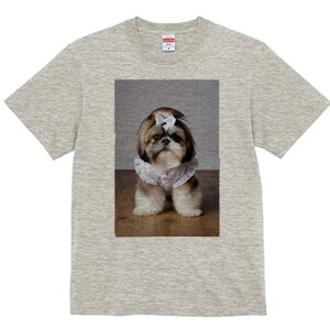 V[Y[ TVc fB[X t@  t  vg JWA 킢 lԗp h ̃fUC ʔ { V[Y[ 