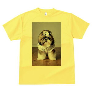 V[Y[ TVc fB[X t@  t  vg JWA 킢 lԗp h ̃fUC ʔ { V[Y[ 