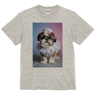 V[Y[ TVc fB[X t@  t  vg JWA 킢 lԗp h ̃fUC ʔ Ch V[Y[ Xq {