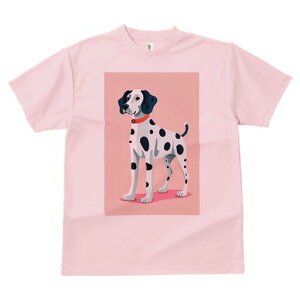 _VA TVc fB[X t@  t  vg JWA 킢 lԗp h ̃fUC ʔ  _VA ybg  