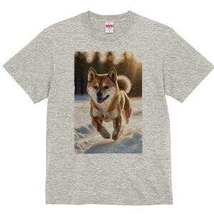 Č TVc fB[X t@  t  vg JWA 킢 lԗp h ̃fUC ʔ  Č ~  z