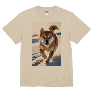 Č TVc fB[X t@  t  vg JWA 킢 lԗp h ̃fUC ʔ  Č ~ AEghA