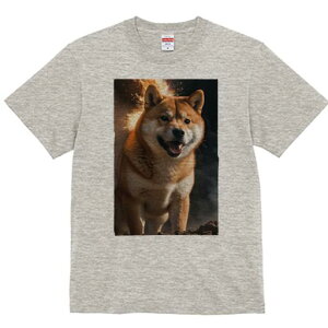 Č TVc fB[X t@  t  vg JWA 킢 lԗp h ̃fUC ʔ Č