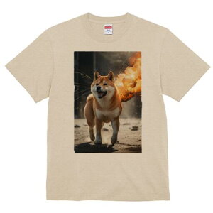 Č TVc fB[X t@  t  vg JWA 킢 lԗp h ̃fUC ʔ  Č 푈