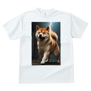 Č TVc fB[X t@  t  vg JWA 킢 lԗp h ̃fUC ʔ  Č