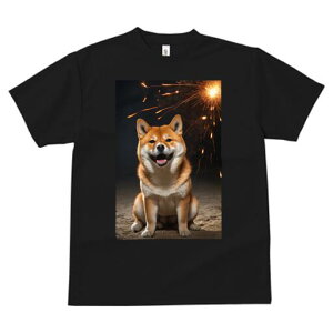 Č TVc fB[X t@  t  vg JWA 킢 lԗp h ̃fUC ʔ ԉ Č  j Cxg