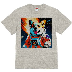 R[M[ TVc fB[X t@  t  vg JWA 킢 lԗp h ̃fUC ʔ F R[M[ Fsm Xy[X