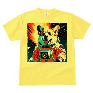 R[M[ TVc fB[X t@  t  vg JWA 킢 lԗp h ̃fUC ʔ F R[M[ Fsm Xy[X