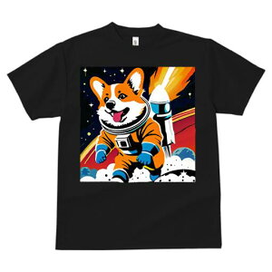 R[M[ TVc fB[X t@  t  vg JWA 킢 lԗp h ̃fUC ʔ F R[M[ Pbg F Xy[X