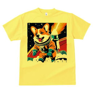 R[M[ TVc fB[X t@  t  vg JWA 킢 lԗp h ̃fUC ʔ F R[M[ Pbg F Xy[X