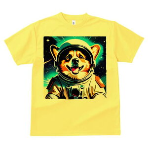 R[M[ TVc fB[X t@  t  vg JWA 킢 lԗp h ̃fUC ʔ F R[M[ Fsm Xy[X