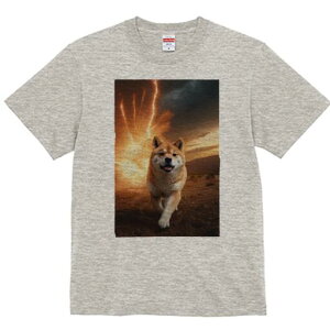 Č TVc fB[X t@  t  vg JWA 킢 lԗp h ̃fUC ʔ  Č  [Ă r