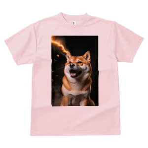 Č TVc fB[X t@  t  vg JWA 킢 lԗp h ̃fUC ʔ  Č 