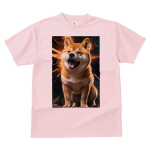 Č TVc fB[X t@  t  vg JWA 킢 lԗp h ̃fUC ʔ Xp[N Č