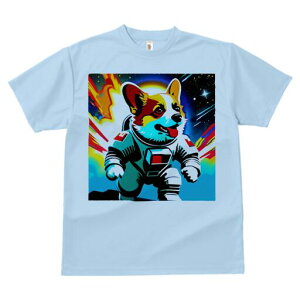 R[M[ TVc fB[X t@  t  vg JWA 킢 lԗp h ̃fUC ʔ F R[M[ Fsm Xy[X 