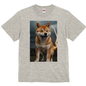 Č TVc fB[X t@  t  vg JWA 킢 lԗp h ̃fUC ʔ  Č  