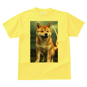 Č TVc fB[X t@  t  vg JWA 킢 lԗp h ̃fUC ʔ  Č  