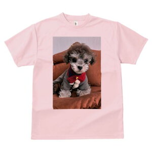 }`[Y,gCv[h TVc fB[X t@  t  vg JWA 킢 lԗp h ̃fUC ʔ  }`[Y,gCv[h NbV